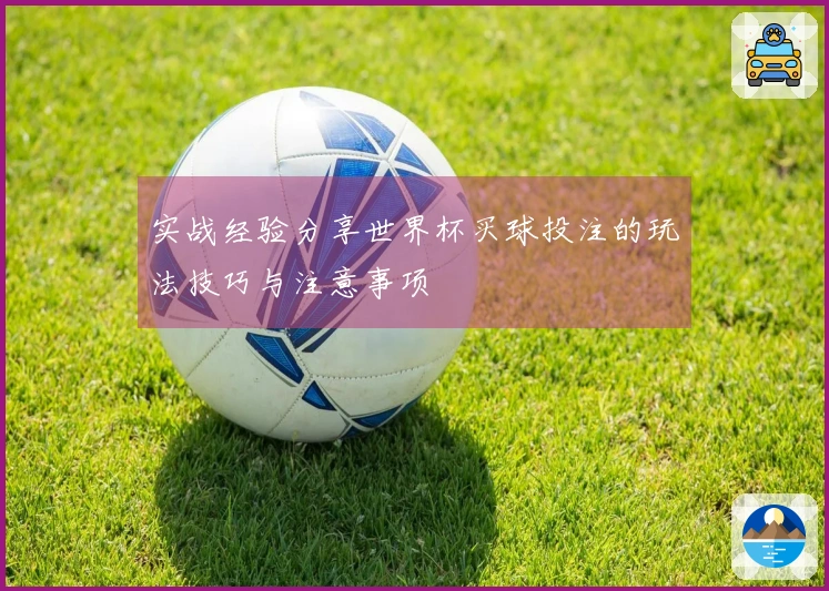 实战经验分享世界杯买球投注的玩法技巧与注意事项