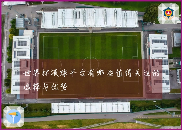世界杯滚球平台有哪些值得关注的选择与优势